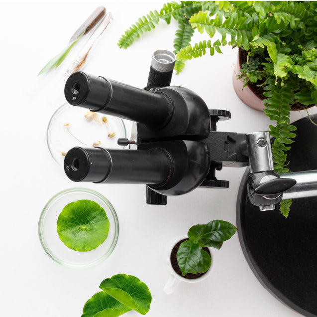 Pigmentation Begins With Inflammation