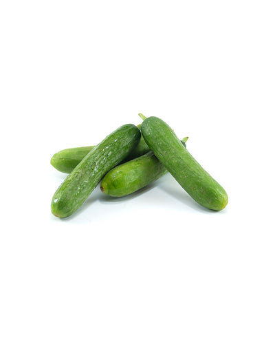 Cucumber Extract
