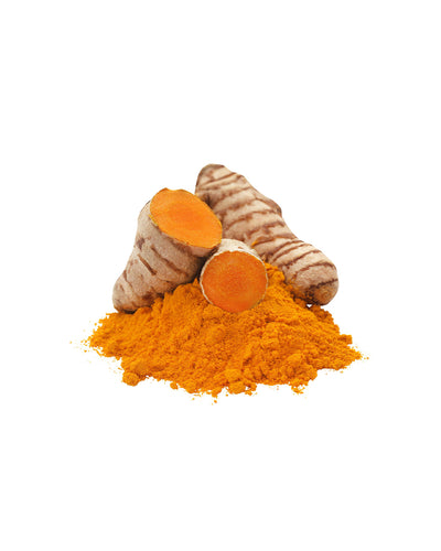Turmeric Extract