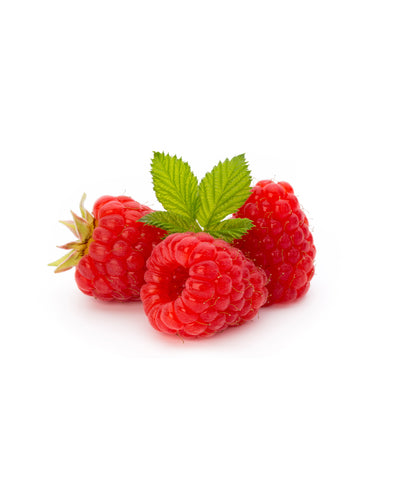 Raspberry Extract